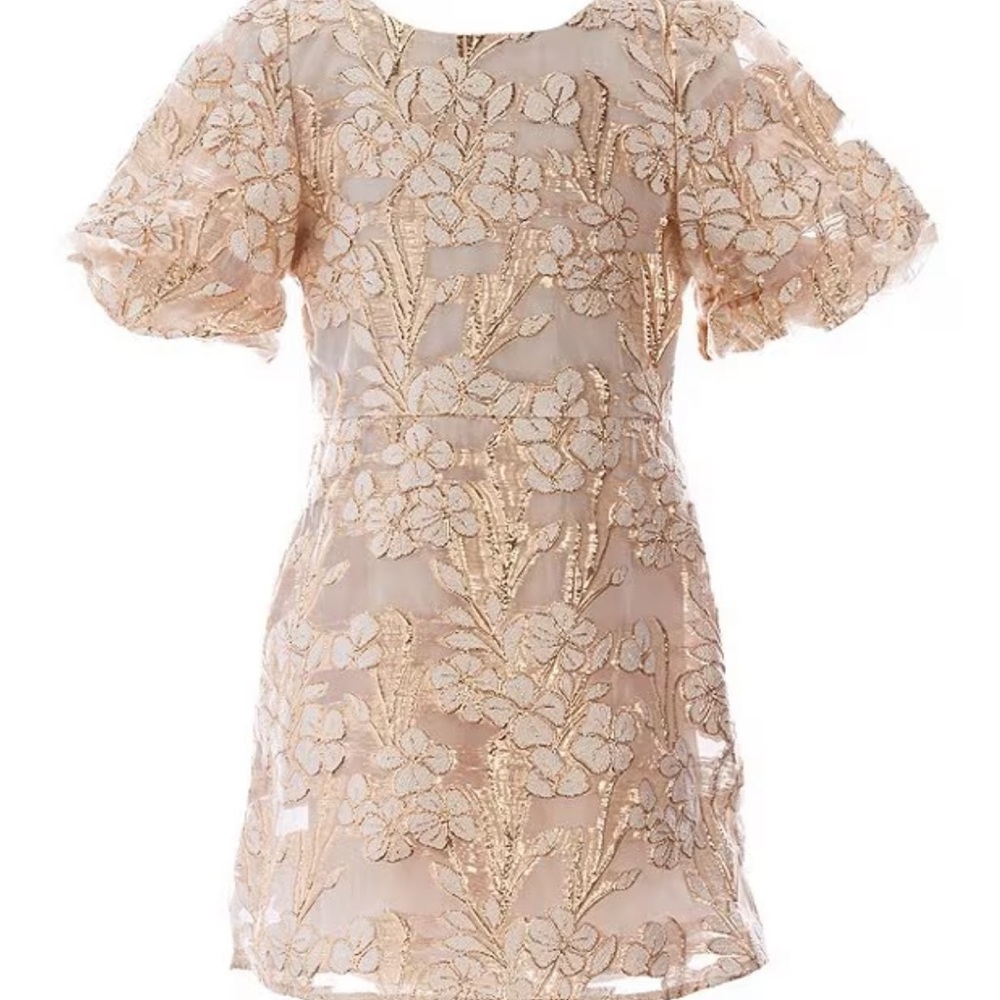 Toddler fancy gold and flower dress - Picture 1 of 5